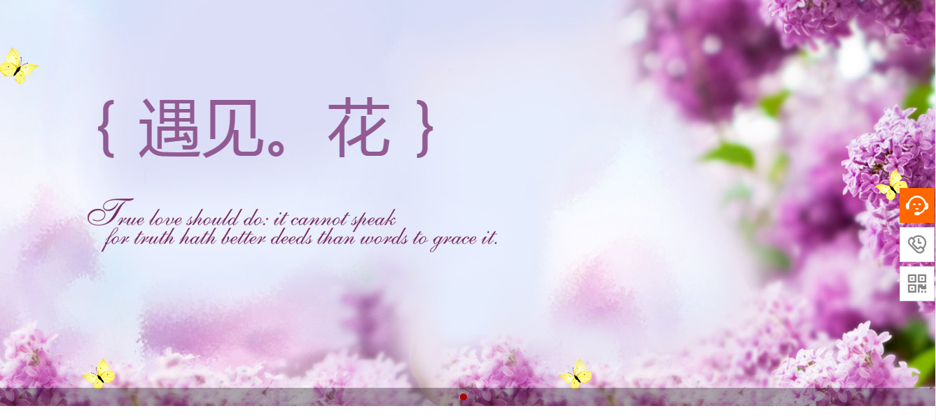 132。 商业网站安全和控制